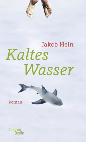 Jakob Hein: Kaltes Wasser