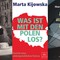 Was ist mit den Polen los? Lesung und Gespräch mit Marta Kijowska und Casjen Carl