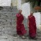 Dacheröden on Tour: Bhutan. Ein bebilderter Reisebericht